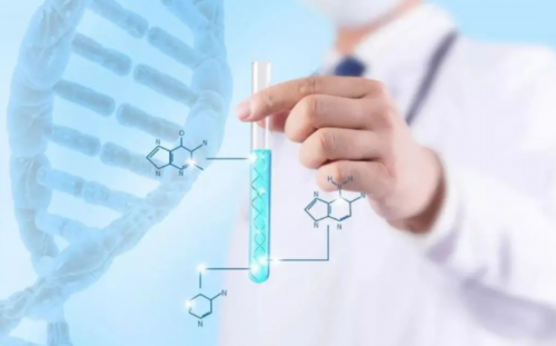 胚胎移植后腹胀是否影响受孕?专家解析原因与应对