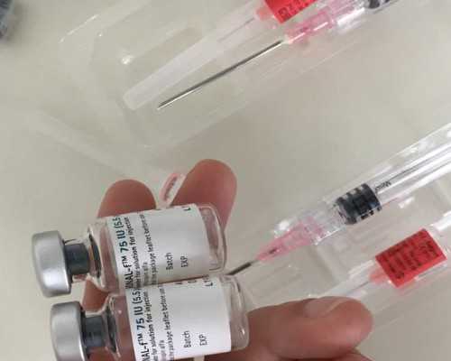试管婴儿性别选择与辅助生殖技术解析