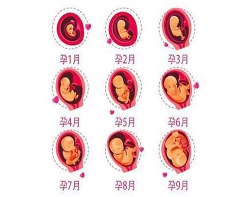 国内代孕哪家最好 ·少精症有哪些鲜为人知的危