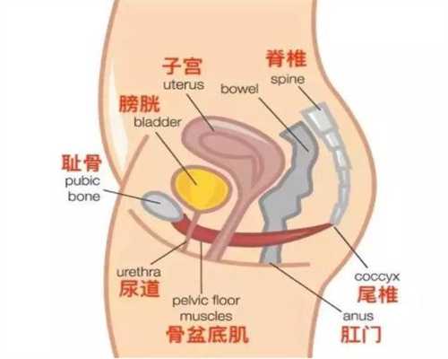 广州高龄供卵一次成功,广州高龄女性供卵试管成功率？风险高吗？