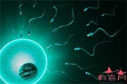 济南高龄试管借卵子成功率，TUBB8基因突变供卵试管需要满足什么条件